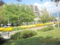 Imagini cu Parcul din Baia Mare | Galerie Foto Baia Mare